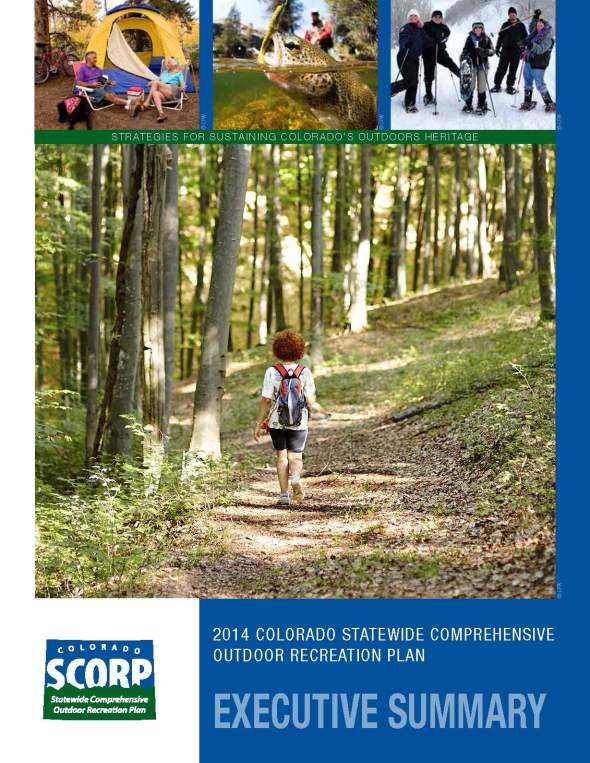 SCORP Exec Summary 1-31-14_Page_01