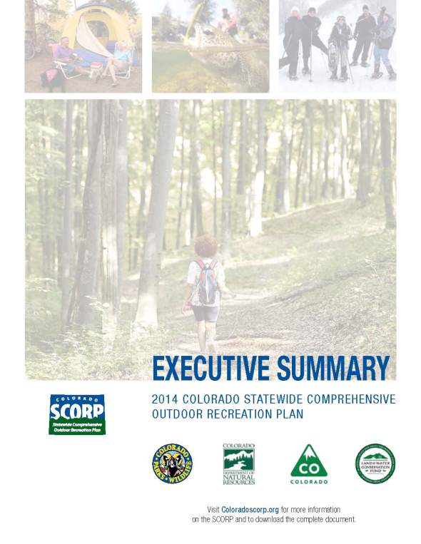 SCORP Exec Summary 1-31-14_Page_05