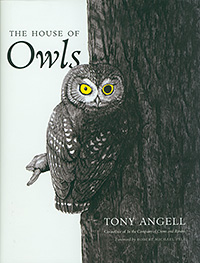 HouseOfOwls