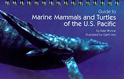 MarineMammals
